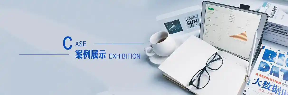 肥城市软件开发